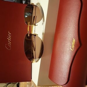 Cartier Sunglasses Level 3